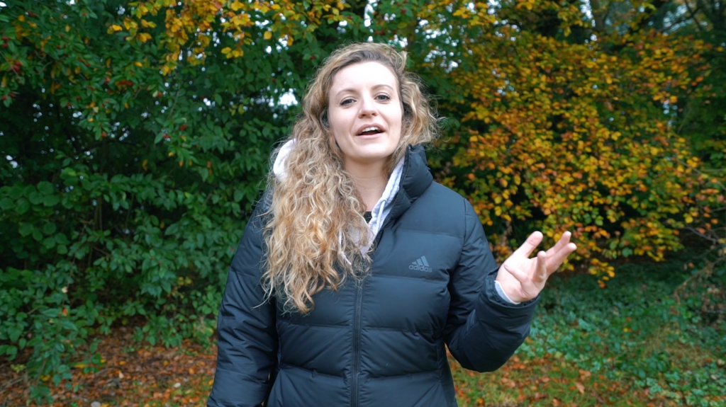 Top Tips for Dogs during Fireworks