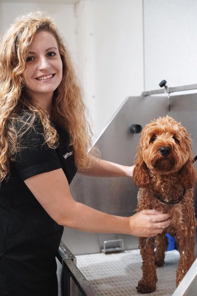 Underdog Pets Selected as One of 100 Trail-Blazing Businesses.