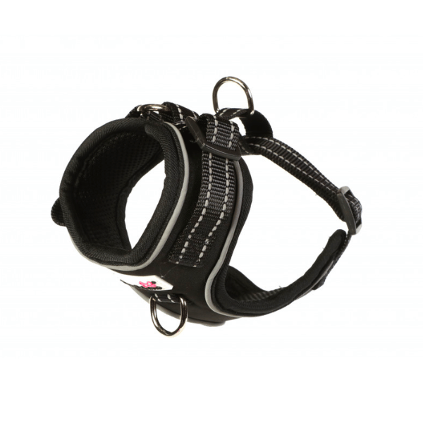 Doodlebone Adjustable Airmesh Harness