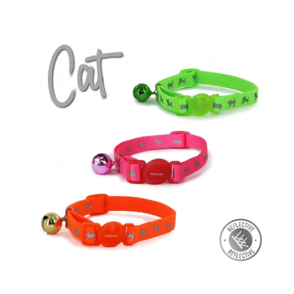 High Vis Cat Collar Orange