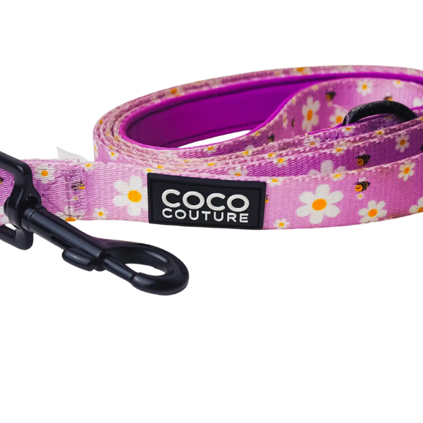 Coco Couture Cute As Can Bee Lead