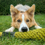 Delilah the Duckess Eco Dog Toy