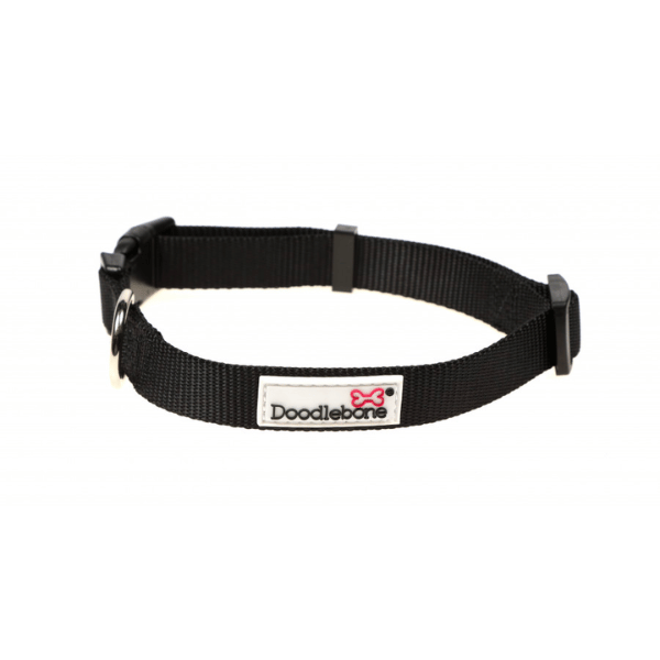 Doodlebone Dog Collar