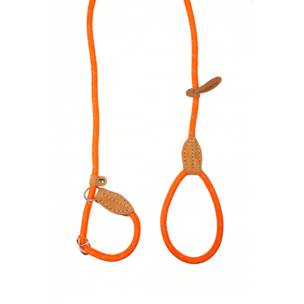 Doodlebone Slip Leads
