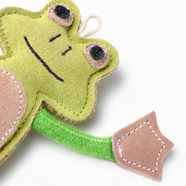 Francois Le Frog, Eco Toy