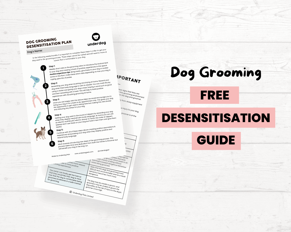 Dog Grooming Desensitisation FREE Guide - Underdog Pets
