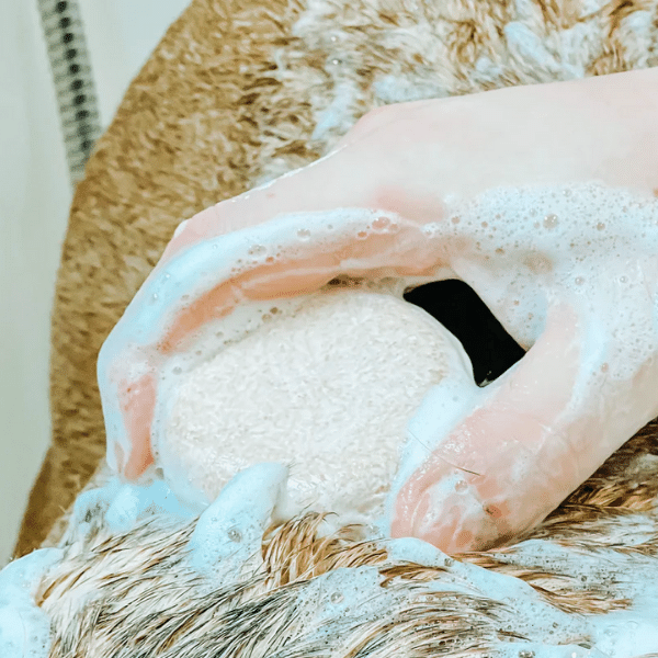 Greasy & Yeasty Dog & Puppy Shampoo Bar by Peanut and Pickle