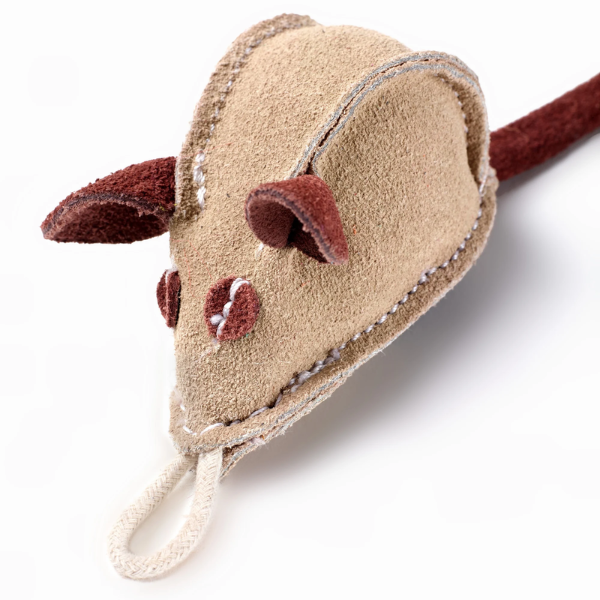 Mike the Mouse Eco Dog Toy