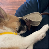 Mike the Mouse Eco Dog Toy