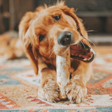 Earth Animal No Hide Salmon Chew