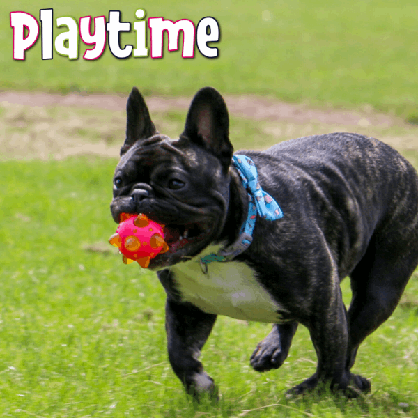 Ancol Flashing Star Ball