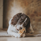 Earth Animal Peanut Butter No Hide Chew