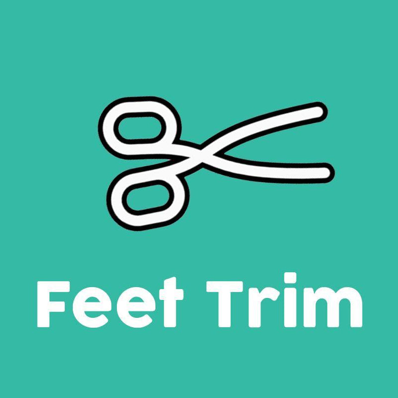 Feet Trim - Underdog Pets
