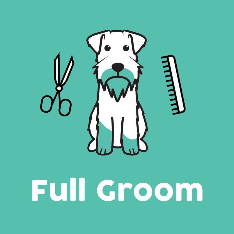 Pet shop best sale grooming near me