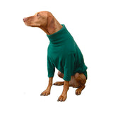 HOTTERdog Fleeces - Underdog Pets