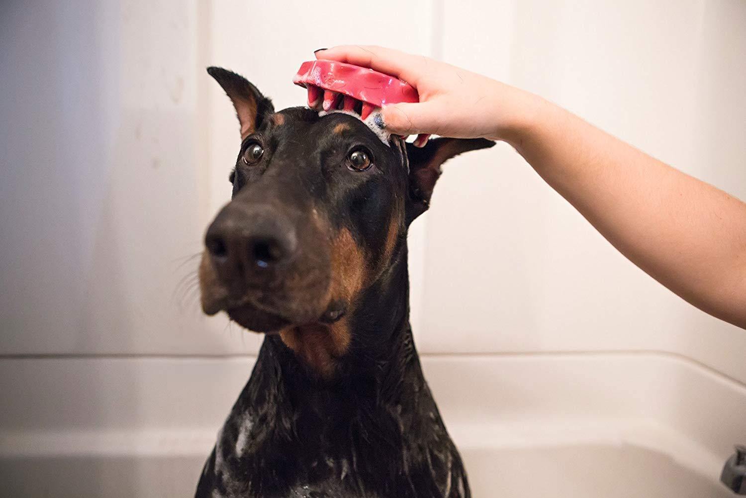 Kong Zoom Groom Dog Brush - Underdog Pets