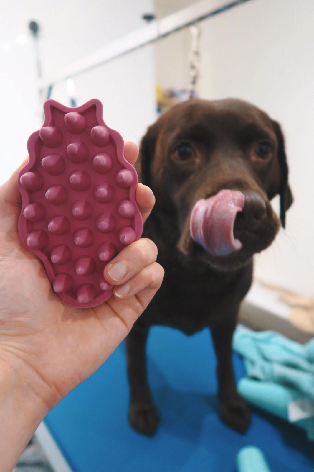 Kong Zoom Groom Dog Brush - Underdog Pets