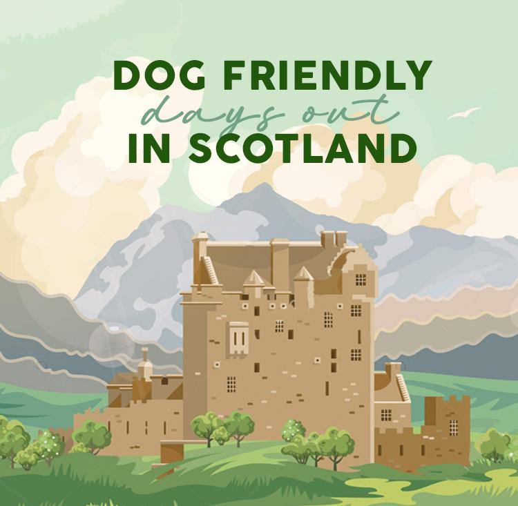 Dog Friendly Days Out Near Glasgow