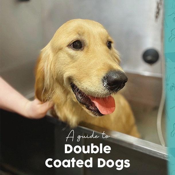 Double Coated Dog Grooming Guide