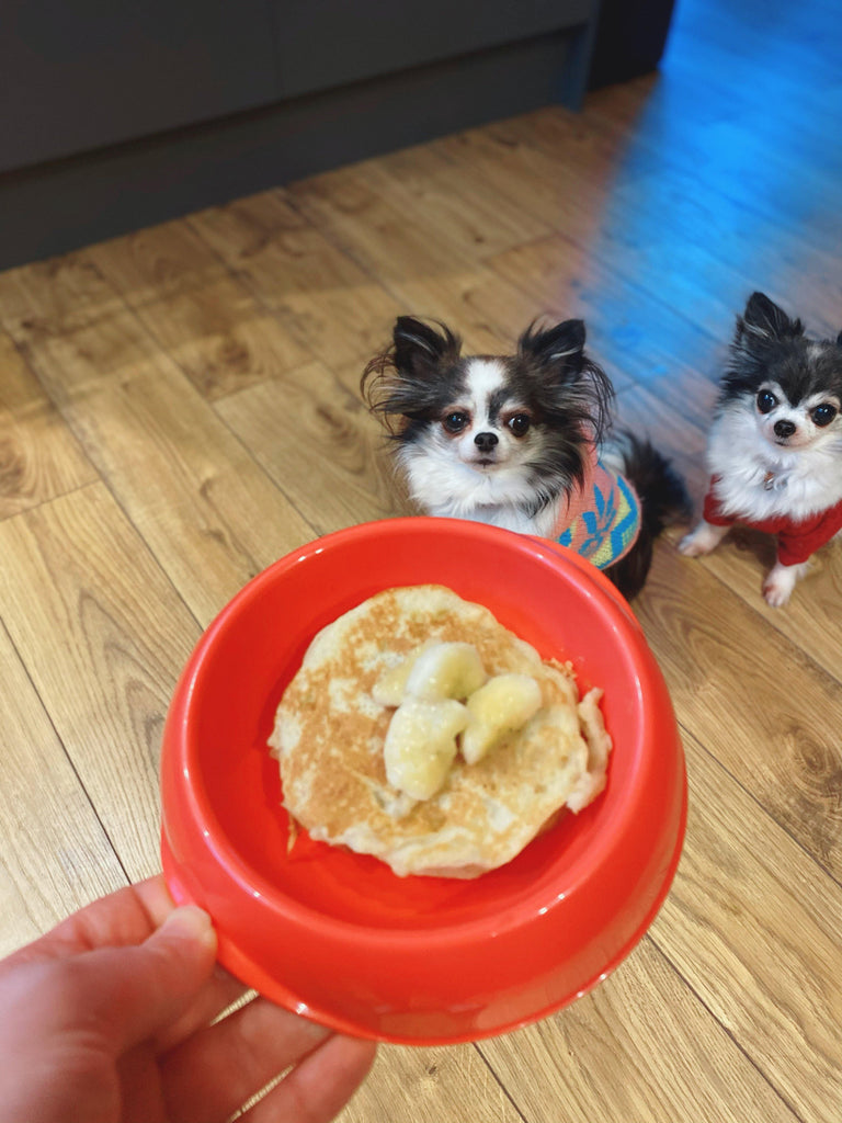 Pancake Day for Doggos & Humans