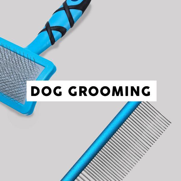 Dog Grooming