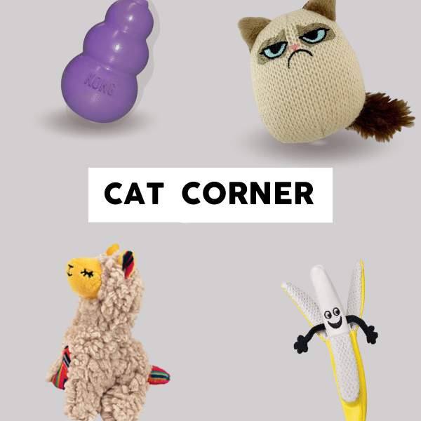 Cat Corner