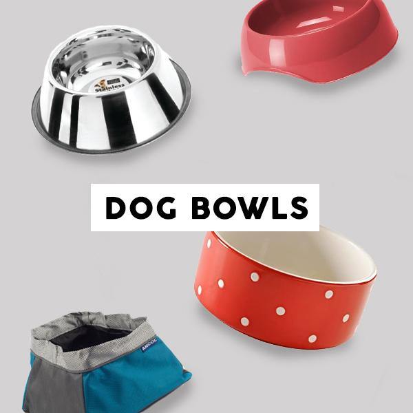 Dog Bowls