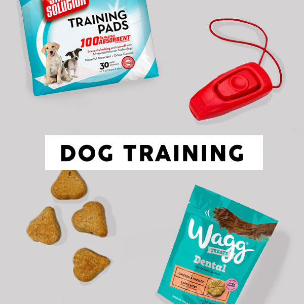 Dog Training Products