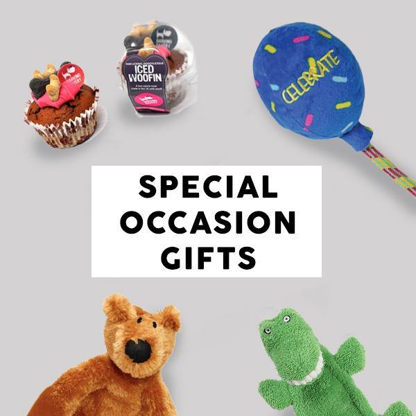 Special Occasion Dog Gifts