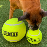 9" Mega Ball (Hem & Boo)