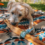 Anco Naturals Giant Rabbit Stick