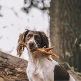 Anco Naturals Turkey Feet