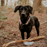 Anco Naturals Giant Lamb Stick