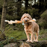 Anco Naturals Hairy Giant Rabbit Stick