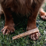 Anco Naturals Bully Pizzle Stick