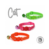 High Vis Cat Collar Orange