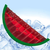 Ancol Ice Paws Watermelon Dog Toy