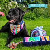 Ancol Pawty Time Dog Birthday Bandana - Underdog Pets