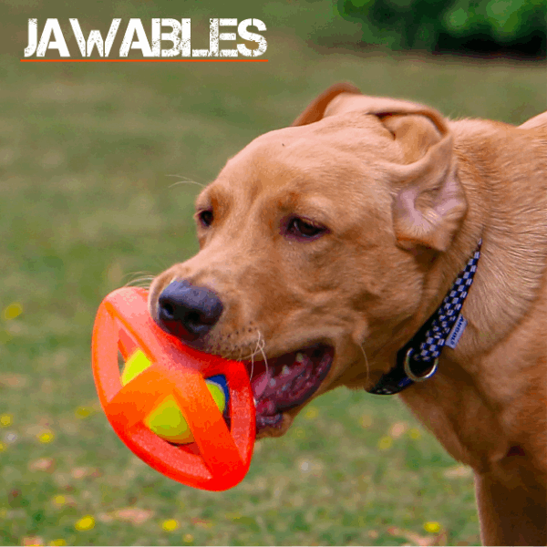 Ancol Jawables Framed Rugby Ball Dog Toy
