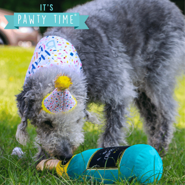 Ancol Pawty Time Champagne Dog Toy