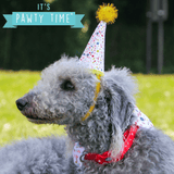 Ancol Pawty Time Dog Birthday Sprinkles Bandana and Hat