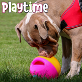 Large Squeaky Treat Ball