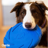 Rosewood Battersea Foam Flyer Dog Toy