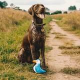 Recycled Rough & Tough Puffin Dog Toy - Underdog Pets