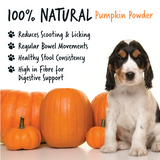 Pumpkin Powder Supplement for Dogs (200g)