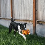 Christmas Roast Turkey Plush Dog Toy - Underdog Pets
