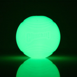 Chuckit! Max Glow Ball Dog Toy