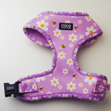 Coco Couture Cute As Can Bee Harness