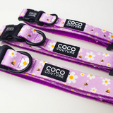 Coco Couture Cute As Can Bee Collar