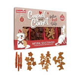 Christmas Natural Selection Box of Dog Treats 175g